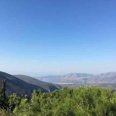 Delphi Palace エクステリア 写真