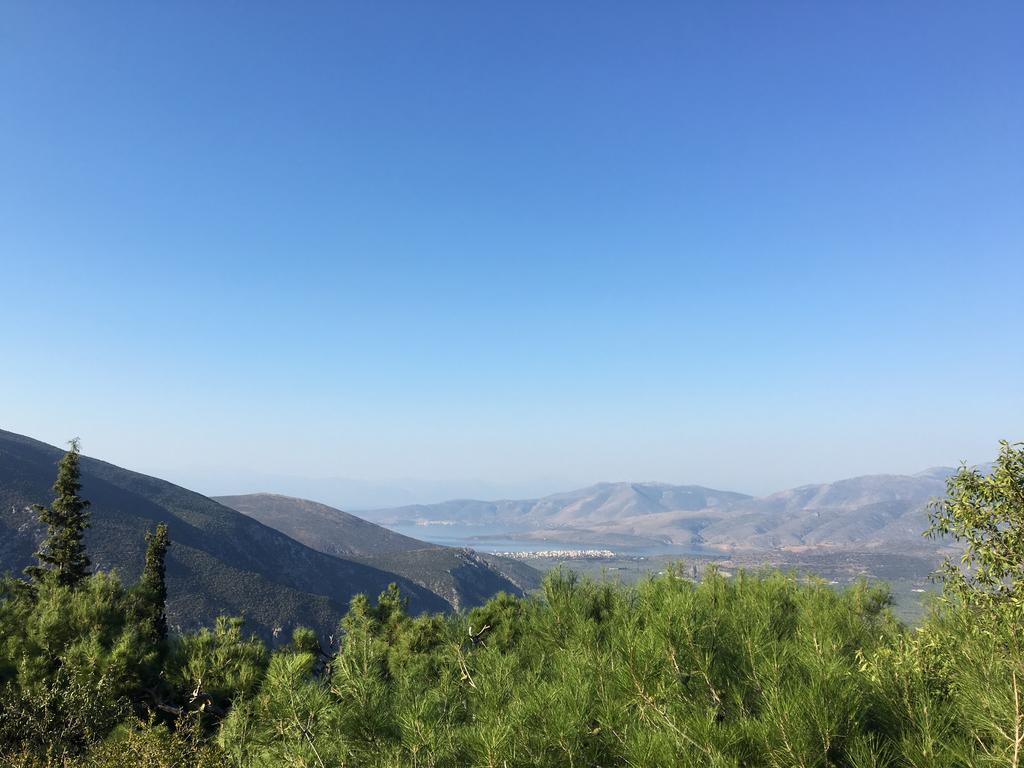 Delphi Palace エクステリア 写真